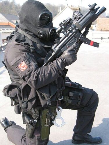 SAS