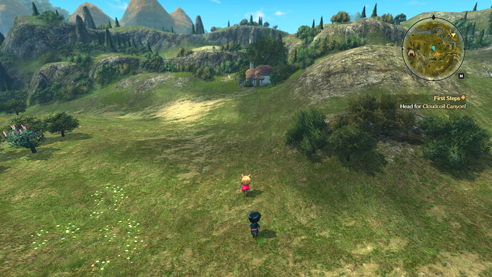 Nino2%202018-06-16%2014-16-06-65