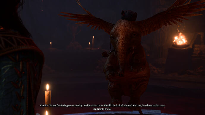 bandicam 2026-01-14 19-45-05-109