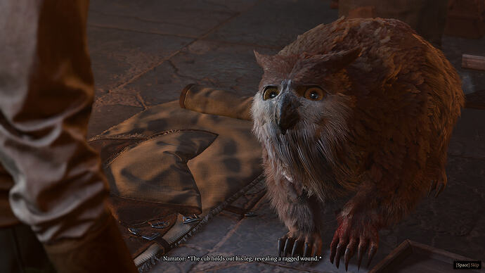 bandicam 2025-11-08 10-36-16-408