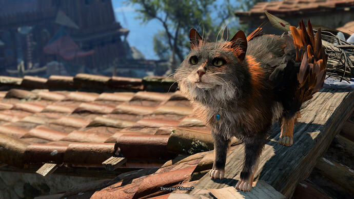 bandicam 2026-01-06 10-40-00-346