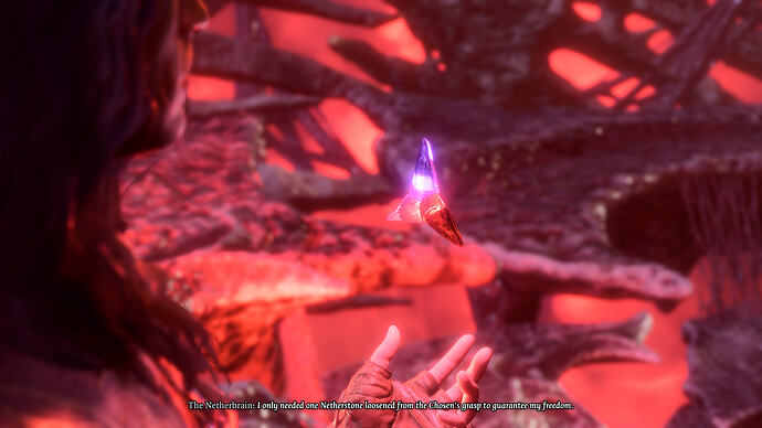 bandicam 2026-02-25 12-31-12-717