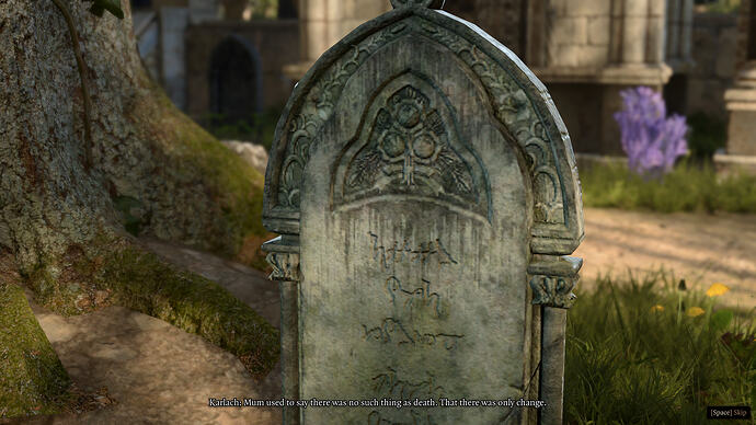 bandicam 2026-02-15 17-04-06-300