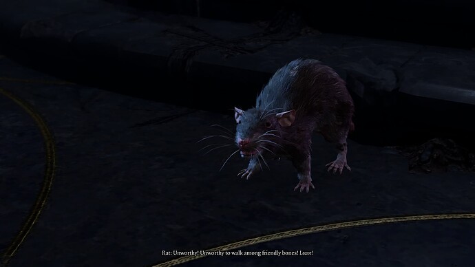 bandicam 2025-10-26 10-13-25-712