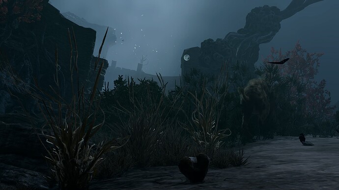 bandicam 2025-09-28 16-53-10-338