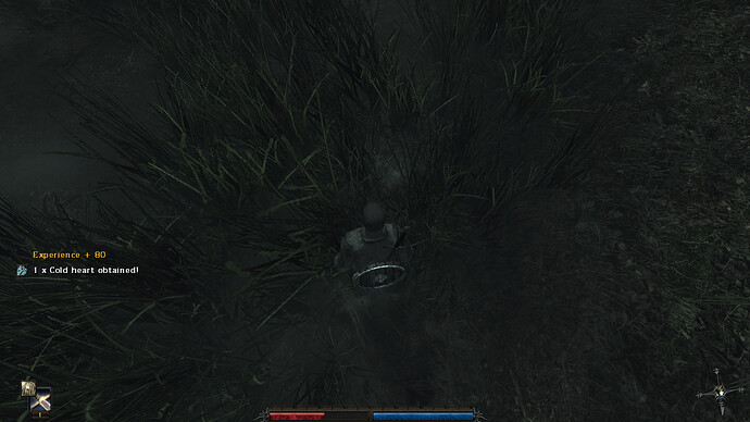 Risen%202019-09-23%2017-45-18-32