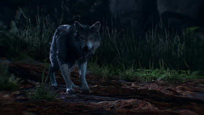 bandicam 2025-11-09 18-42-17-689