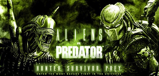 avp banner