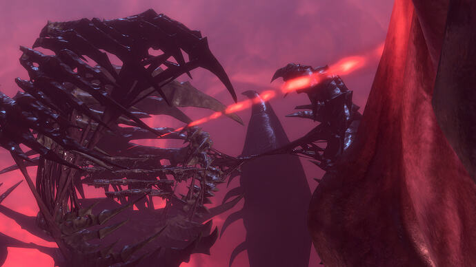 bandicam 2026-02-25 12-28-37-843