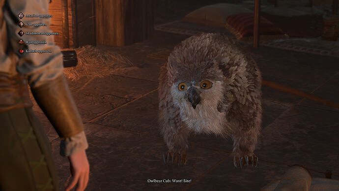 bandicam 2025-11-08 10-34-05-885