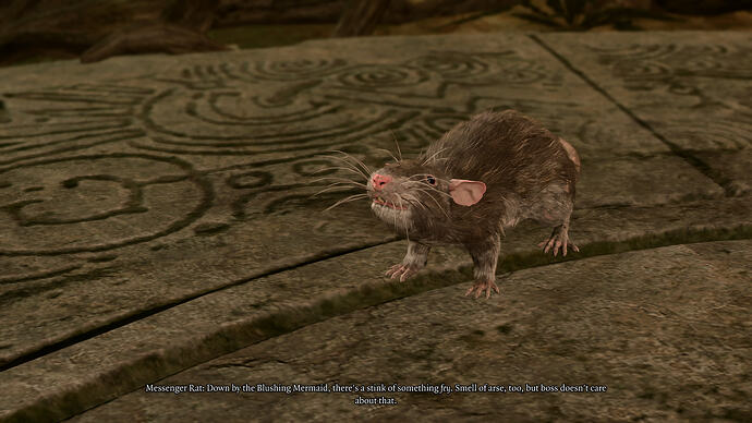 bandicam 2025-12-23 09-43-59-766