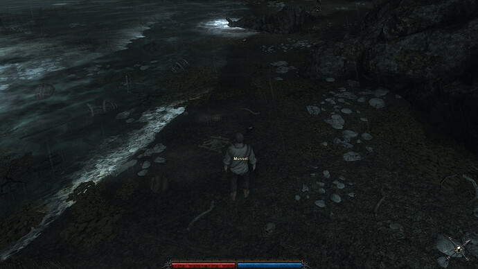 Risen%202019-09-15%2012-08-13-64