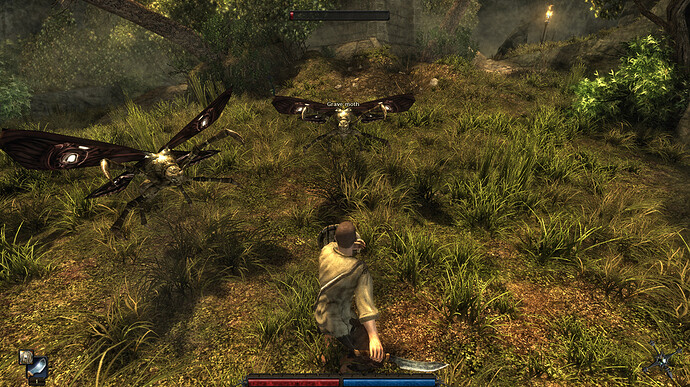 Risen%202019-09-15%2012-30-32-82