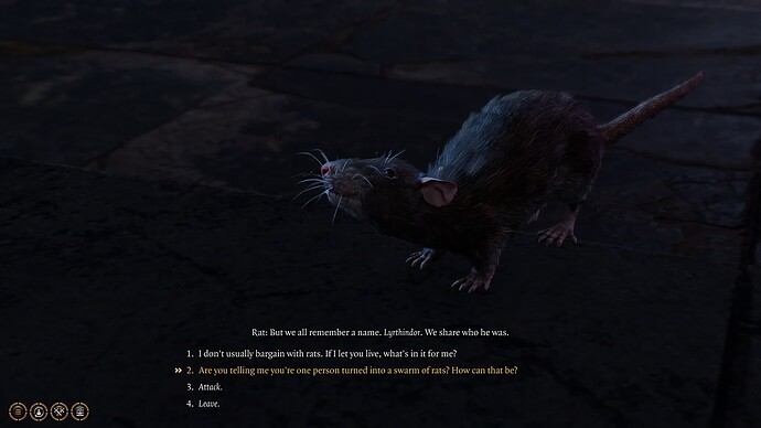 bandicam 2025-10-26 10-14-08-292