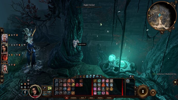 bandicam 2025-10-10 21-41-03-542