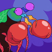 Mantis Shrimp Fight GIFs | Tenor